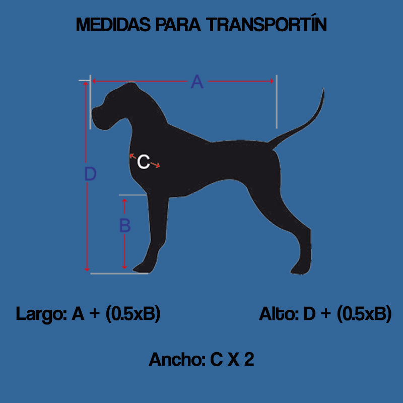 como-medir-a-tu-perro