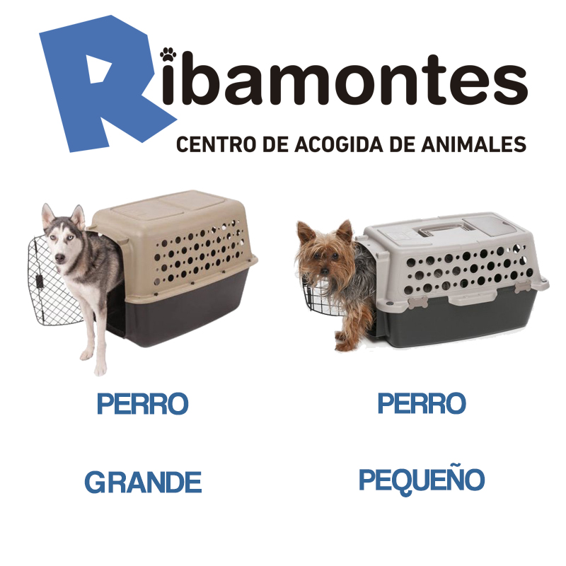 como-medir-a-tu-perro